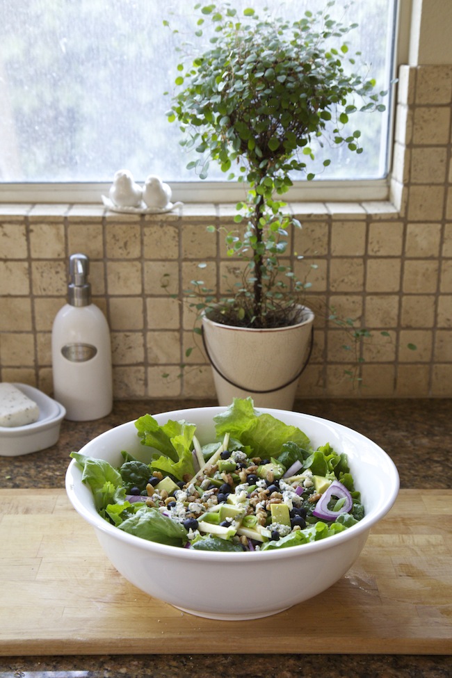 <img alt="Green Salad with Blueberries, Apples & Mustard Chive Vinaigrette"/>