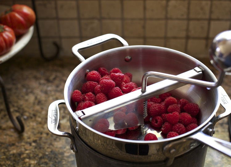 <alt img="Raspberries in a Food Mill"/>