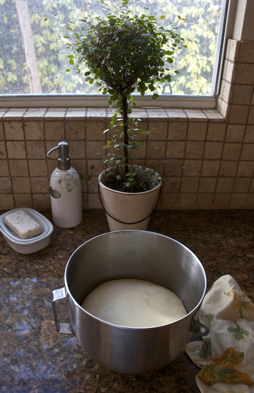 Dough for Russian Braided Bread
